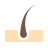 icons8 hair follicle 48